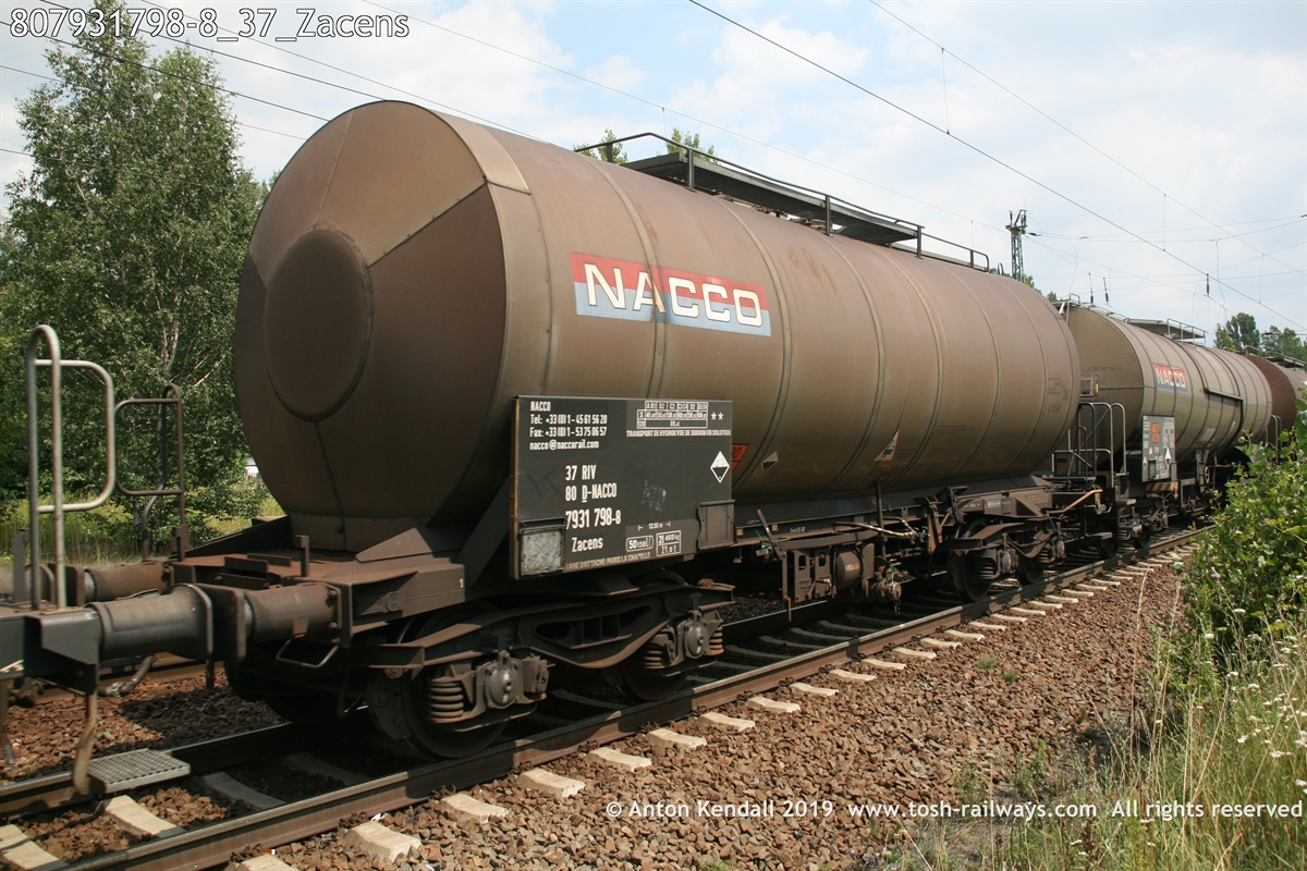807931798-8_37_Zacens.JPG